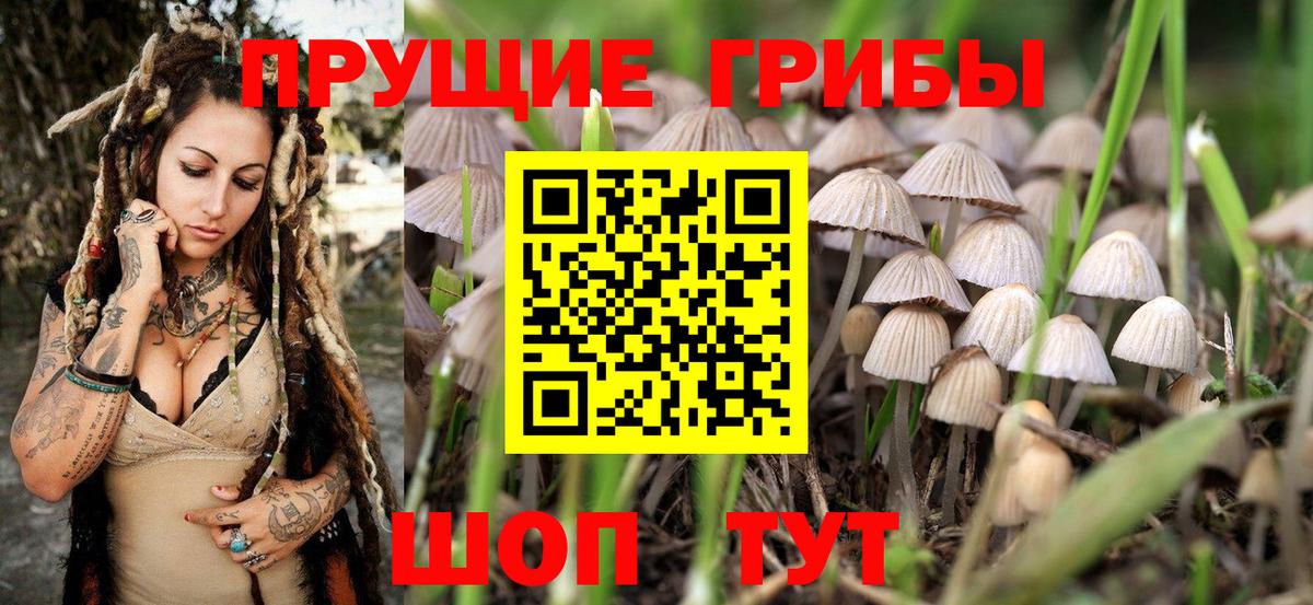 Галлюциногенные грибы MAGIC MUSHROOMS Димитровград