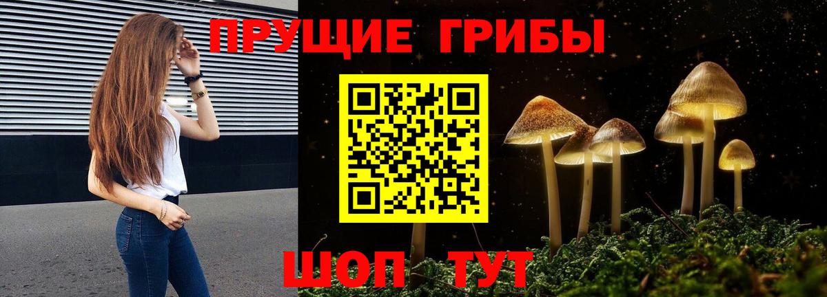 Галлюциногенные грибы Psilocybe  Вход с VPN  Димитровград 